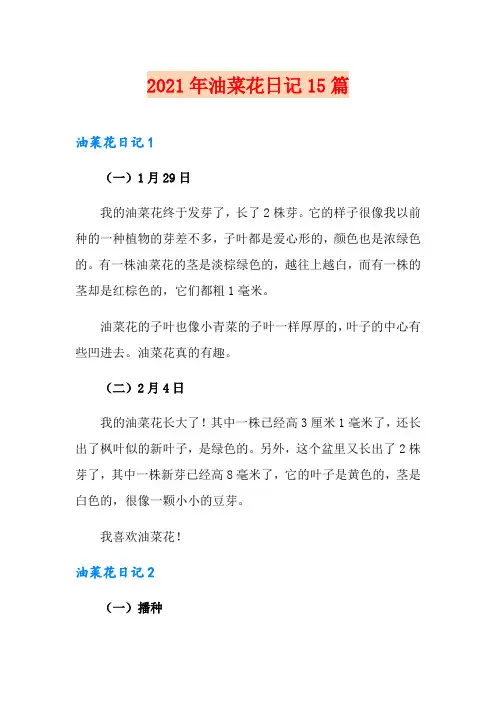 2021年油菜花日记15篇