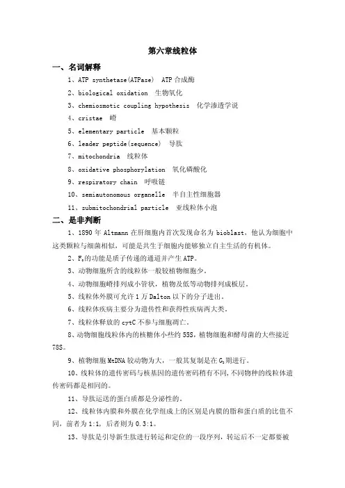 第六章线粒体