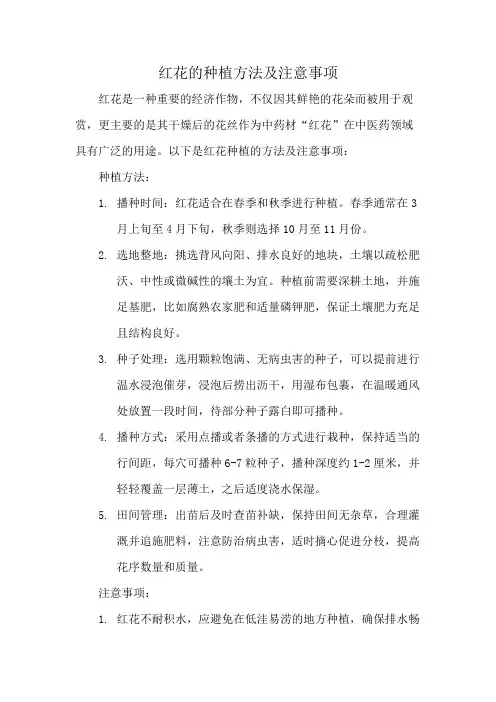 红花的种植方法及注意事项