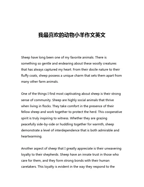 我最喜欢的动物小羊作文英文