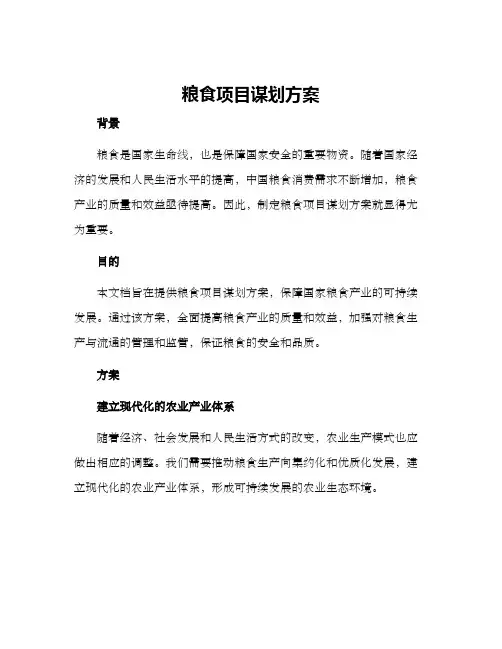 粮食项目谋划方案