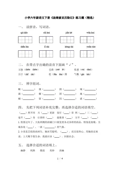 小学六年级语文下册《汤姆索亚历险记》练习题(精选)