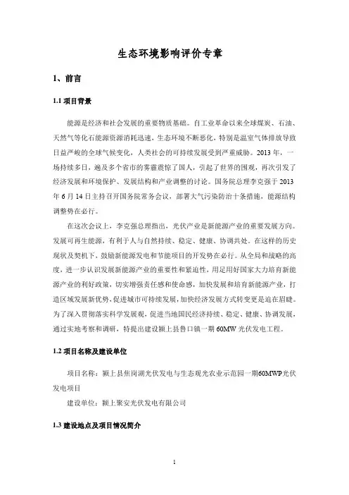 生态环境影响评价评价专章