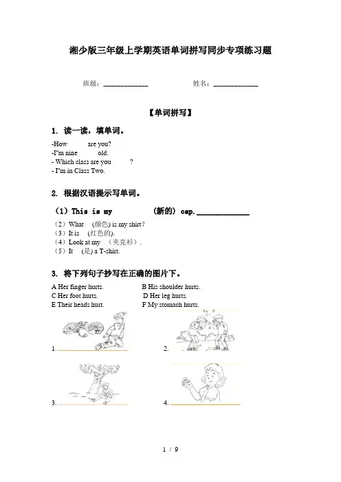 湘少版三年级上学期英语单词拼写同步专项练习题