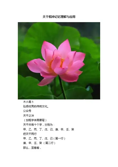 天干相冲记忆理解与应用