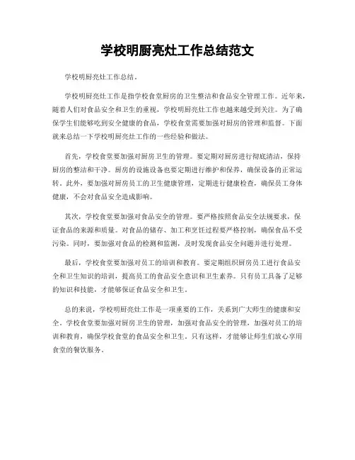 学校明厨亮灶工作总结范文