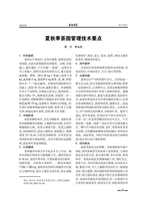 夏秋季茶园管理技术要点