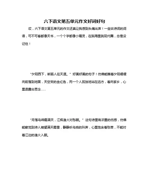 六下语文第五单元作文好词好句