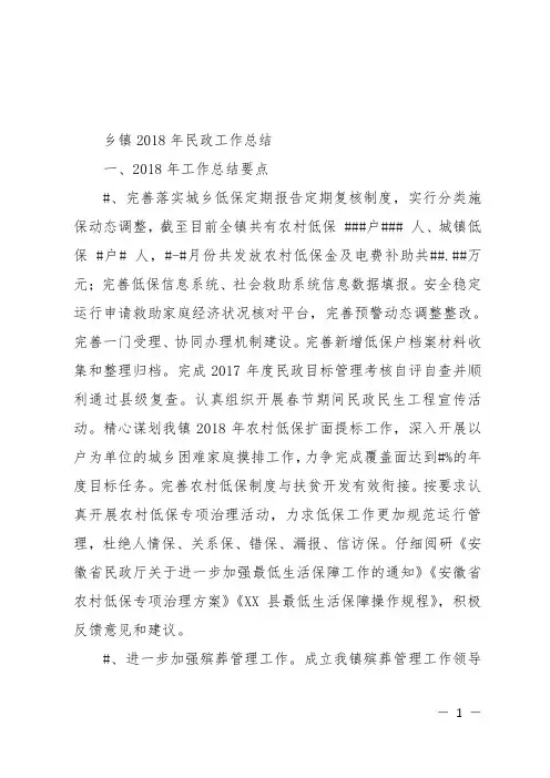 乡镇2018年民政工作总结