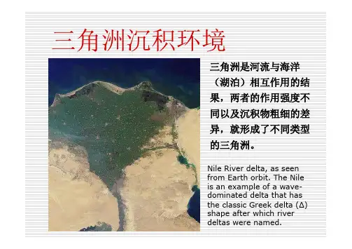 【层序地层学】910 三角洲沉积