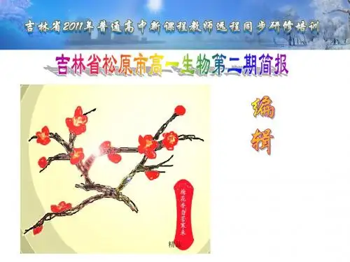 教育叙事培训课件.ppt