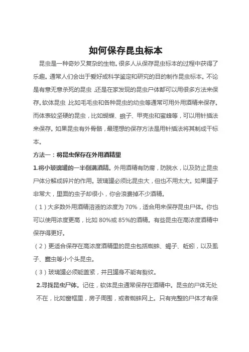 如何保存昆虫标本