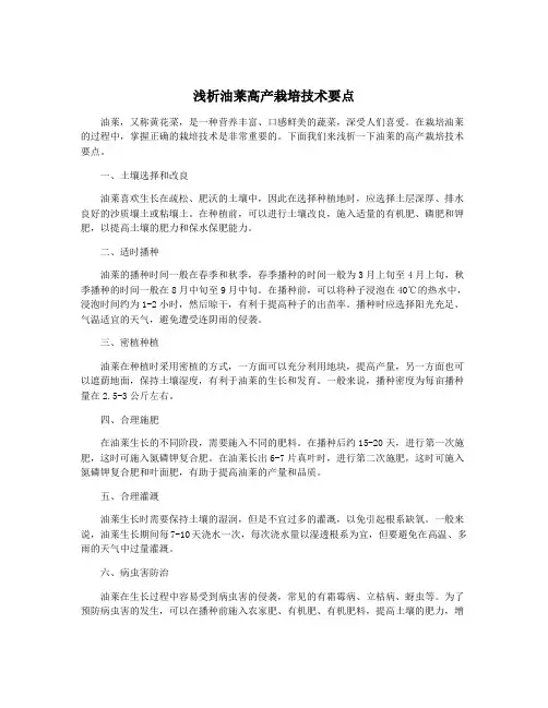 浅析油莱高产栽培技术要点