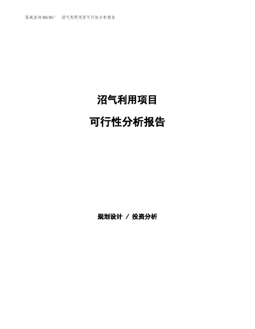沼气利用项目可行性分析报告范本参考