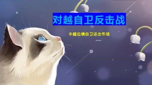 对越自卫反击战