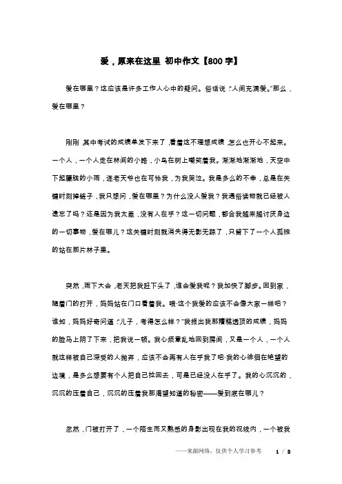 爱,原来在这里 初中作文【800字】