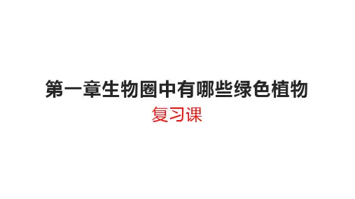 2020年八年级生物中考第一章生物圈中有哪些绿色植物复习课件