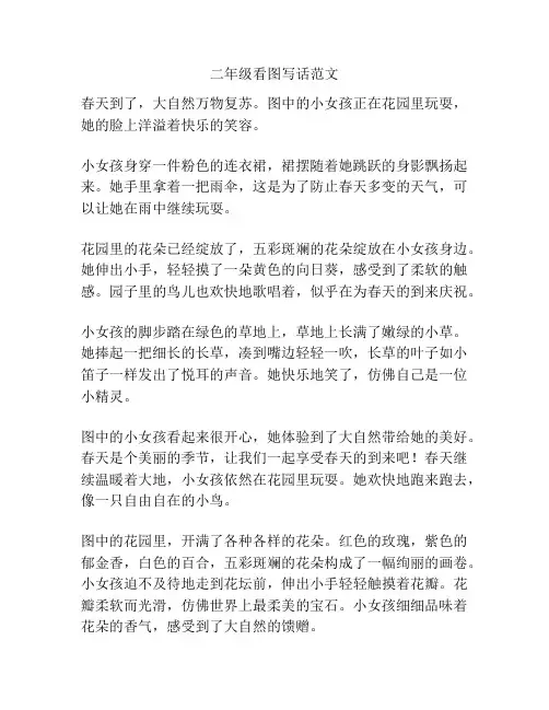 二年级看图写话范文