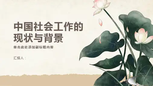 中国社会工作的现状与背景