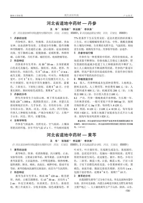 河北省道地中药材——丹参