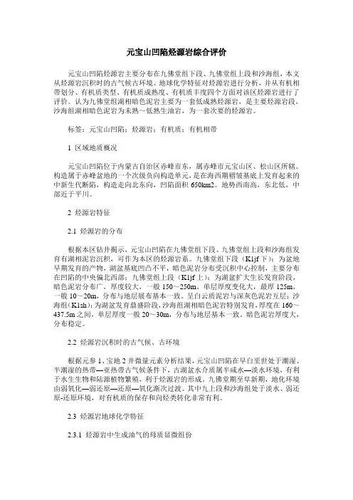 元宝山凹陷烃源岩综合评价