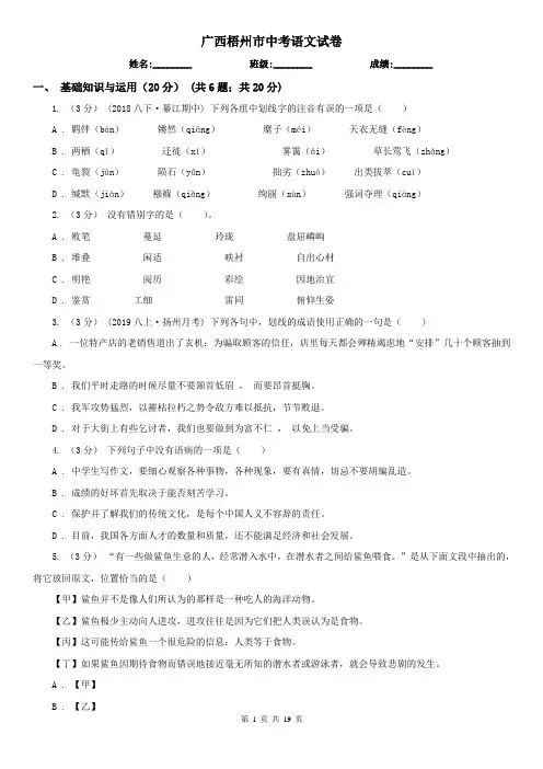广西梧州市中考语文试卷