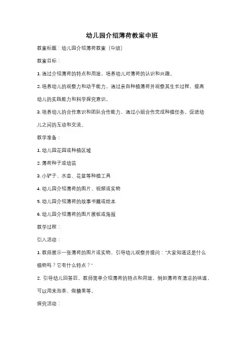 幼儿园介绍薄荷教案中班