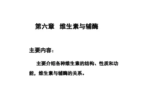 生物化学维生素与辅酶