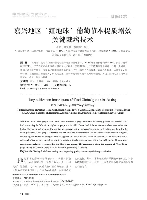 嘉兴地区‘红地球’葡萄节本提质增效关键栽培技术