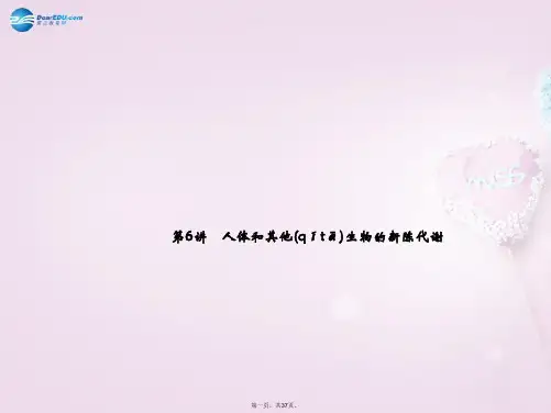 中考科学总复习 第6讲 人体和其他生物的新陈代谢课件 浙教版
