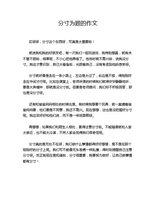 分寸为题的作文