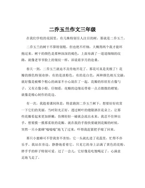 二乔玉兰作文三年级