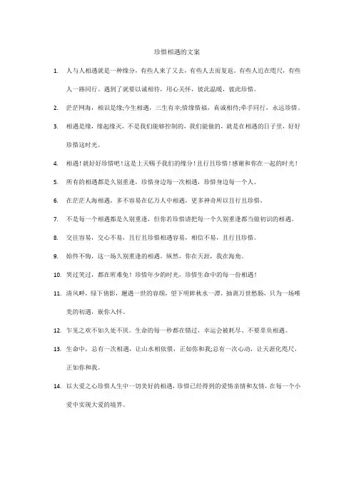 珍惜相遇的文案