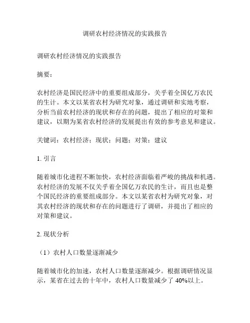 调研农村经济情况的实践报告