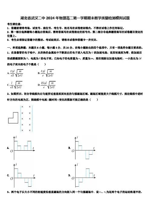 湖北省武汉二中2024年物理高二第一学期期末教学质量检测模拟试题含解析
