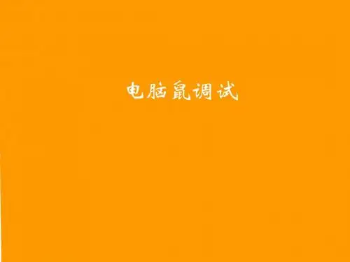 电脑鼠培训