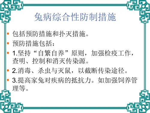 兔病的防治课件