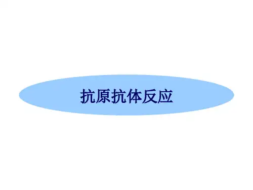 免疫--抗原抗体反应
