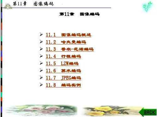 精品文档-数字图像处理(第二版)何东建-第11章