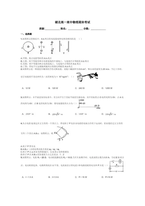湖北高一高中物理期末考试带答案解析
