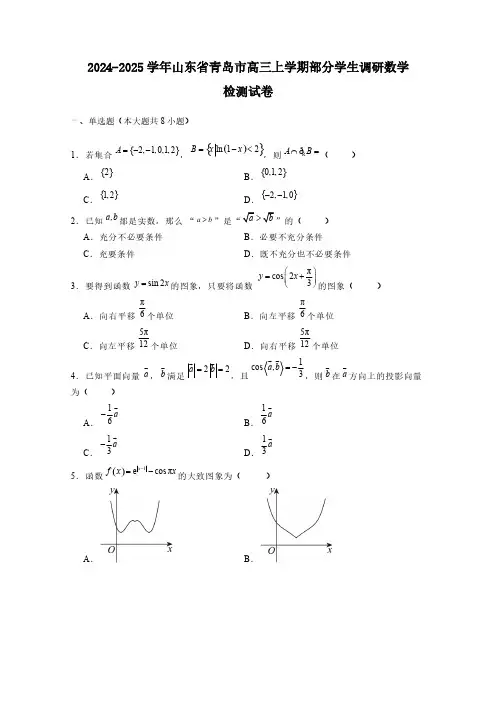 2024-2025学年山东省青岛市高三上学期部分学生调研数学检测试卷(含解析)