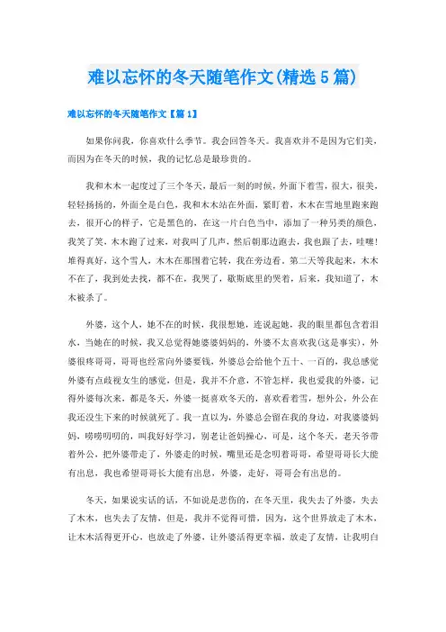 难以忘怀的冬天随笔作文(精选5篇)