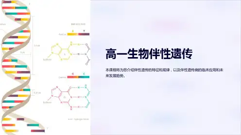 《高一生物伴性遗传》课件