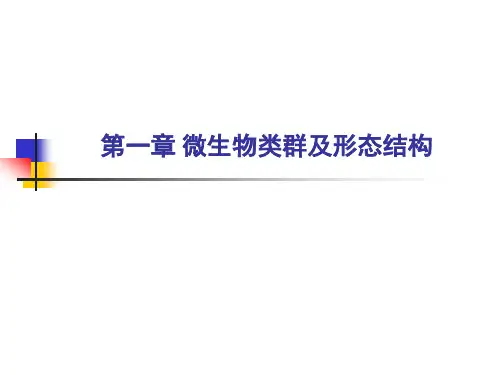 微生物形态、结构概论