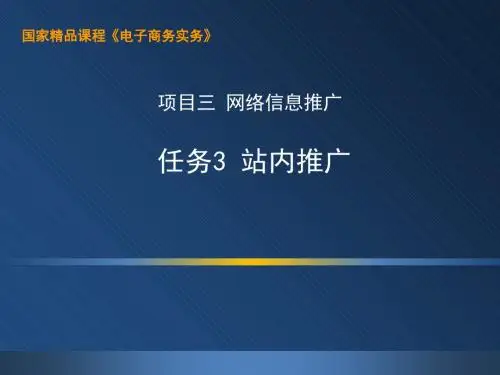 电子商务实务(第二版)-3.3 站内推广-PPT精品文档