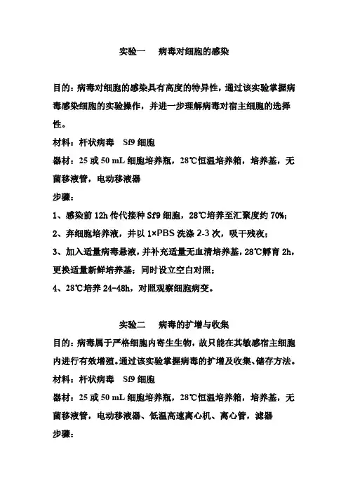 病毒学实验