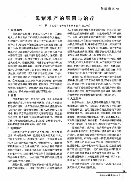 母猪难产的原因与治疗