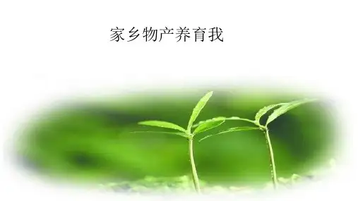 二年级上册道德与法治课件-家乡物产养育我人教(新版)