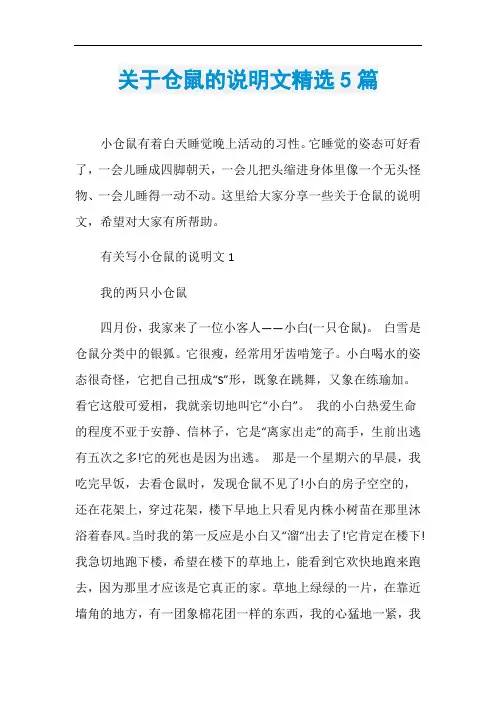 关于仓鼠的说明文精选5篇