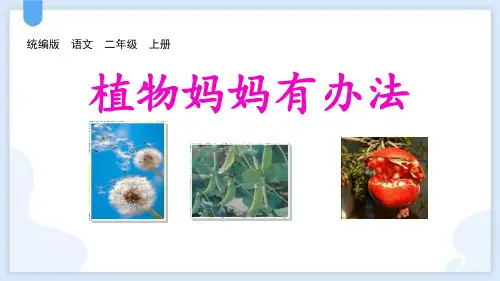 最新统编部编版语文二年级上册《植物妈妈有办法》精品教学课件